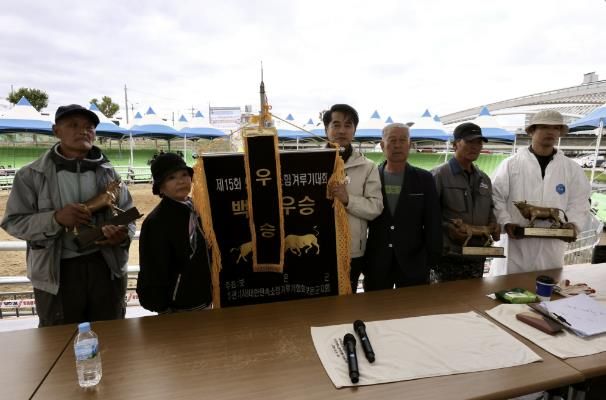 제15회 보은 전국 민속 소 힘겨루기 대회’성료