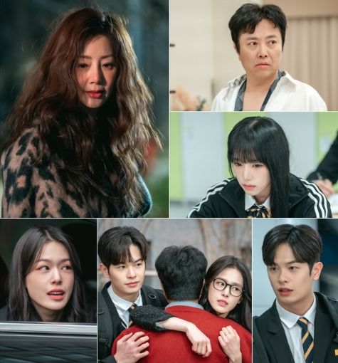 사진 제공 : 스튜디오 플럼