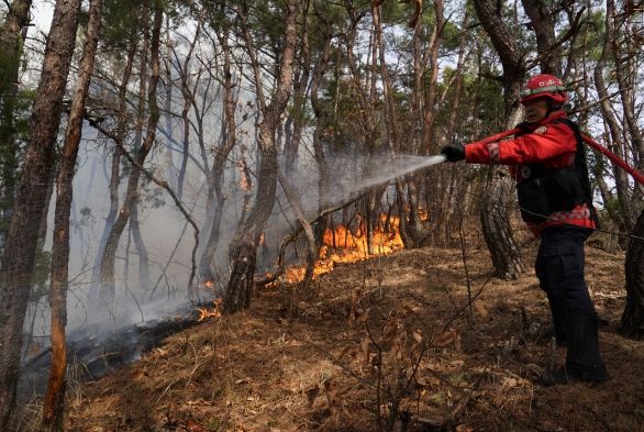 경북 의성 산불진화작업