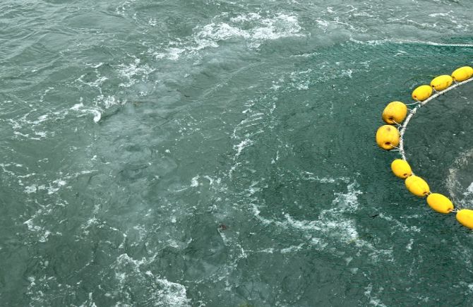 보름달물해파리 제거 작업(절단망이 부착된 그물로 해파리 제거/참고용 사진으로 훈련 당일 사진이 아님)