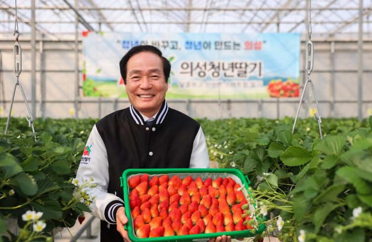 스마트팜 청년딸기