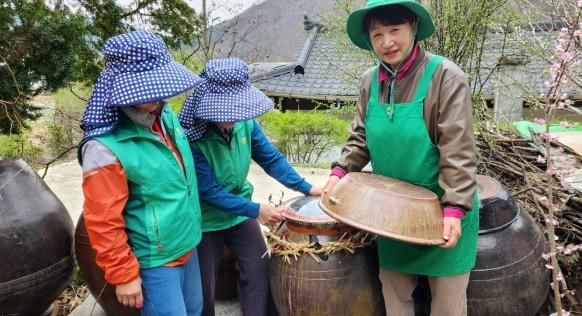 안동시, 2025년 새마을운동 읍면동 특수시책 평가 '우수상' 수상