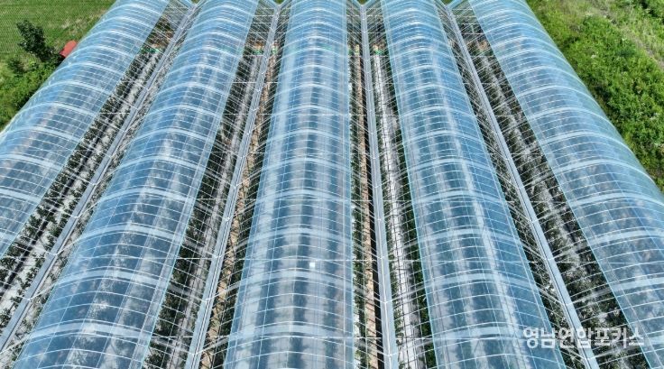 기후변화 대응 스마트사과재배로 사과 재배