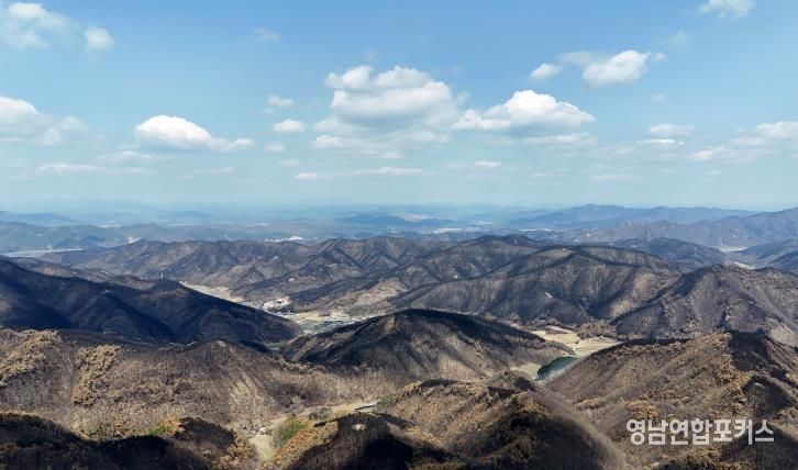 안동시, 산림투자선도지구 지정 추진으로 민간투자 유치 박차