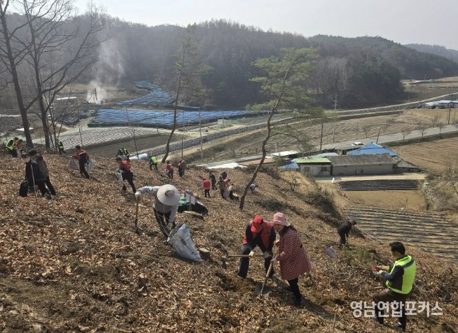 봉화군, 제81회 식목일 나무심기행사 개최