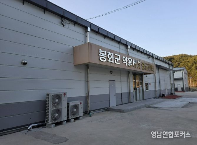 봉화군, 2026년 약용버섯 재배 실용교육 과정 교육생 모집